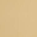 Matte Metallic Smart Vinyl™ – Removable, Champagne (12 ft)